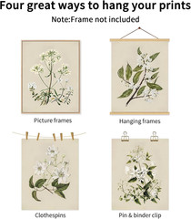 Vintage Botanical Wall Art Set of 6 Neutral Floral Canvas Wall Decor Wildflower
