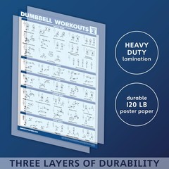 Palace Learning 4 Pack – Dumbbell Workout Posters Volume 18″ x 24″, LAMINATED