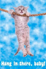 Hang In There Baby! Cat Retro Motivational Poster 24×36 inch