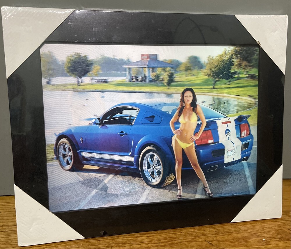3D canvas 3 In 1.