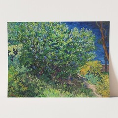 Lilac Bush (1889) by Vincent van Gogh Impressionism Wall Art Poster Print