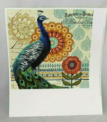 Jennifer Brinley Peacock I Wall Art Print 12″ X 12″ Square 16″ X1 4″ MATTE VTG