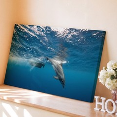 Playful Dolphin Gracefully Swims Underwater, Captured In A Dynamic Wall Art