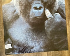 Silverback Gorilla Middle Finger Vintage Poster 23 x 35 Retro Style 80’s