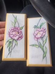 Wooden watercolor or print of a pink peony flower by the artist Kim Osgood.