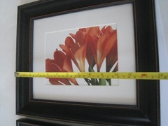 Hobby Lobby Red Flower Prints Framed Black Frame Pair White Mat 11″ x 13″