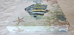 Set of Two 12″ x 12″ Stupell Industries Aquatic Striped Fish Canvas Wall Art