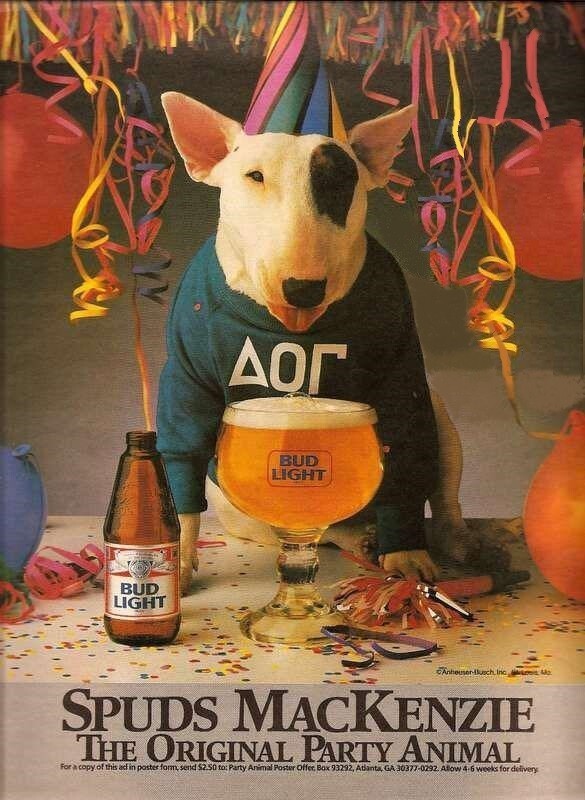 Bud Light Spud MacKenzie Party Animal Ad 1980s POSTER 24 X 18 Inches SWEET!