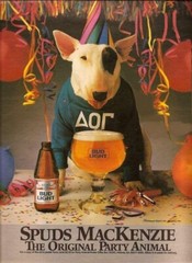 Bud Light Spud MacKenzie Party Animal Ad 1980s POSTER 24 X 18 Inches SWEET!