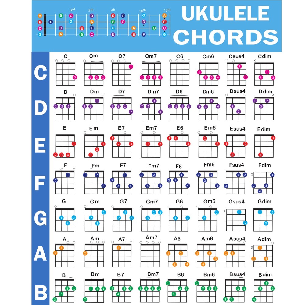 Ukulele Chords Poster, An Educational Reference guide for Ukulele Players and…