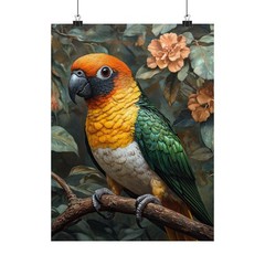 Black Headed Caique Parrot Bird Art Print Poster, Wildlife Home Decor 04