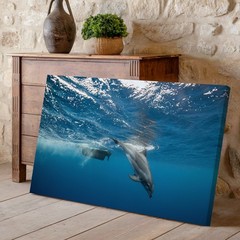 Playful Dolphin Gracefully Swims Underwater, Captured In A Dynamic Wall Art