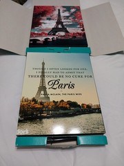 Paris Themed Pictures Set Of 2 Hang On Wall Or Tabletop Comes With A Stand