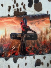 Cardinal Cross Custom Photo Slate Rock Unique Gift 7.9” X 5.9” Slate Photo