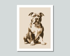 AMERICAN BULLY Dog Photo Picture Pet Print in 8×10, 8.5×11 or 11×14 WB3s
