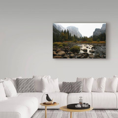Chris Bliss ‘Yosemite’ Canvas Unframed Photography Wall Art 22 In. W. X 32 In