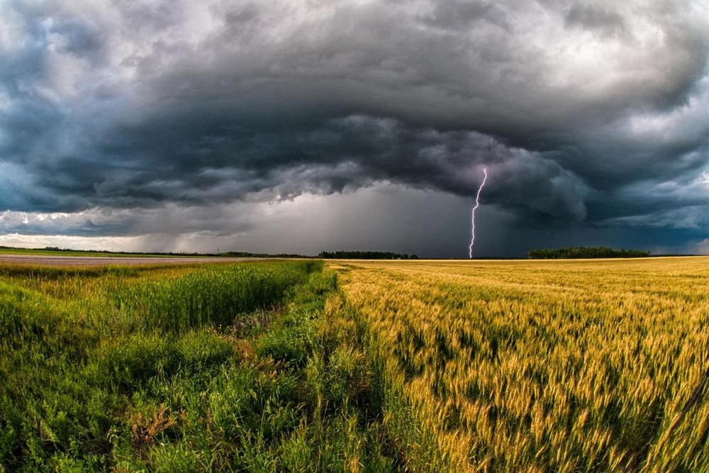 Storm Cloud with Lightning over Wheat Field Photo Art Print Poster 24×36 inch
