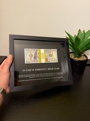 Motivational Money Frame “In Case of Emergency Break Glass” Luxury Gift Decor