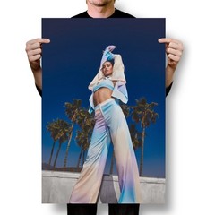Amelia Gray Hamlin Celebrity Fashion Model – Beautiful Artist – POSTER 20″x30″