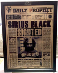 Harry Potter-Daily Prophet-3D Lenticular Flip Effect- 3 Images Changes,3 In One