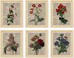 97 Decor Floral Vintage Wall Art Print – Antique Botanical Wall Art, Flower Book