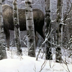 36W»x24H» A WALK IN THE WOODS by STEPHEN LYMAN – DEER MOOSE CHOICES of CANVAS