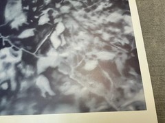 GERHARD RICHTER Lovers in the Forest 26.75″ x 28.25″ Poster 1995 Contemporary Bl