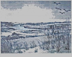 Nantucket Fine Art Print 8×10″ and Notecard 5×7″, Shoreline, Original Art Seller