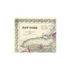Historic State Map – New York – Colton 1855 – Vintage Wall Art