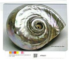 fine art magnets 4×5.5 inch_limited edition-shipping combined