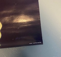 1989 ‘Electric’ Black Panther poster (unused) 22 1/2 x 34 inches