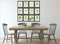 Herbs Botanical Wall Art Set of 12 Prints Beautiful Antique Vintage Unframed