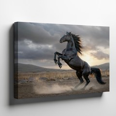 Black Horse Rearing Canvas Wall Art Wild Animal Nature Landscape Canvas Print