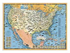 Sportsmen’s Fishing Map of USA & Neighboring Waters | Vintage Art Print Poster