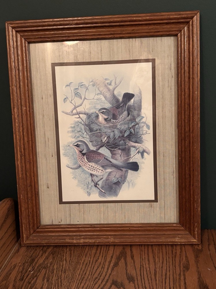 Vintage Framed Bird Print Wall Art Rustic Wood Frame Cottage Farmhouse Decor