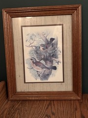Vintage Framed Bird Print Wall Art Rustic Wood Frame Cottage Farmhouse Decor