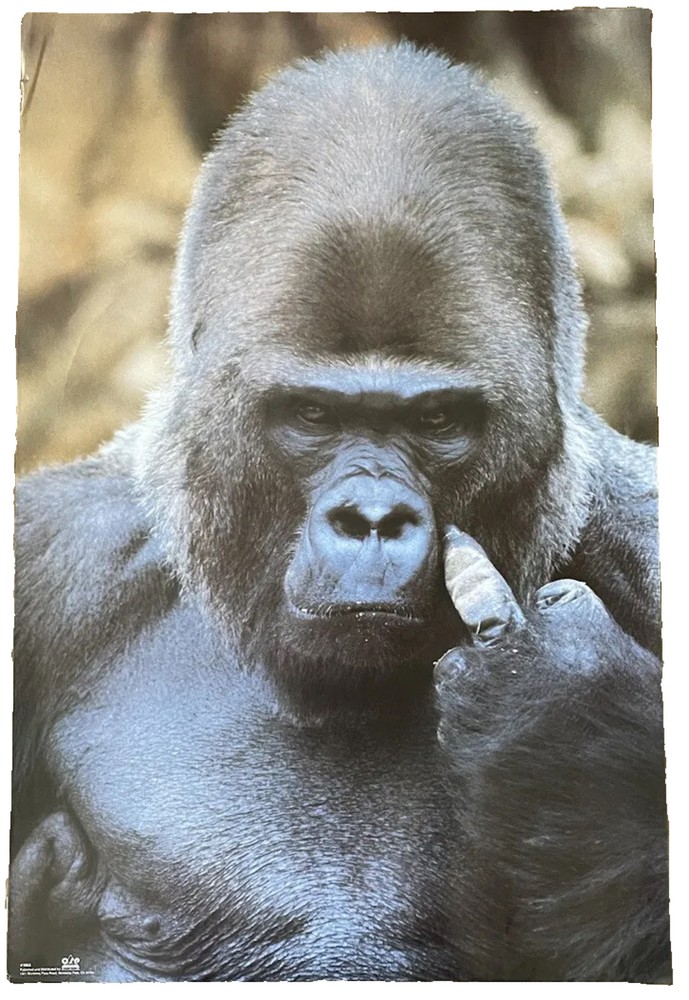 Silverback Gorilla Middle Finger Vintage Poster 23 x 35 Retro Style 80’s
