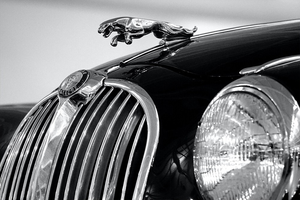 Jaguar Logo Symbol Partial View Black Luxurious Car Art Wall Deco – POSTER 20×30
