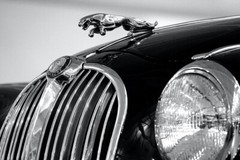 Jaguar Logo Symbol Partial View Black Luxurious Car Art Wall Deco – POSTER 20×30
