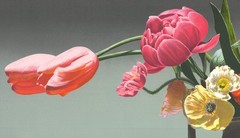 BEN SCHONZEIT Wedgewood 35.75″ x 49″ Serigraph 1994 Contemporary Pink, Orange, Y