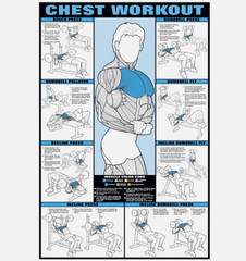 CHEST WORKOUT WALL CHART Professional Bodybuilding Fitness Gym POSTER