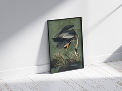 Vintage Great Blue Heron Poster Wall Art Print Audubon Bird Home Decor Room Gift