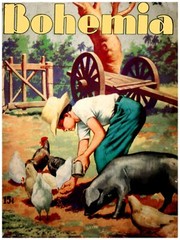 Quality Decor Poster.Room art.Bohemia magazine farm boy.6868