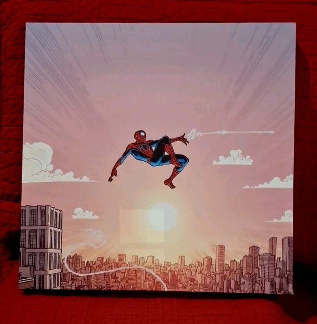 12″ X 12″ Canvas Hanging Picture