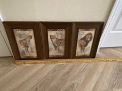 Set Of 3 Wood Framed Prints By J. Gibson Lion, Leopard & Cheetah Animal Prints