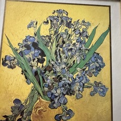 Vincent Van Gogh Irises Vase Flower Wall Picture Gold Framed Art Print 8” X 10”