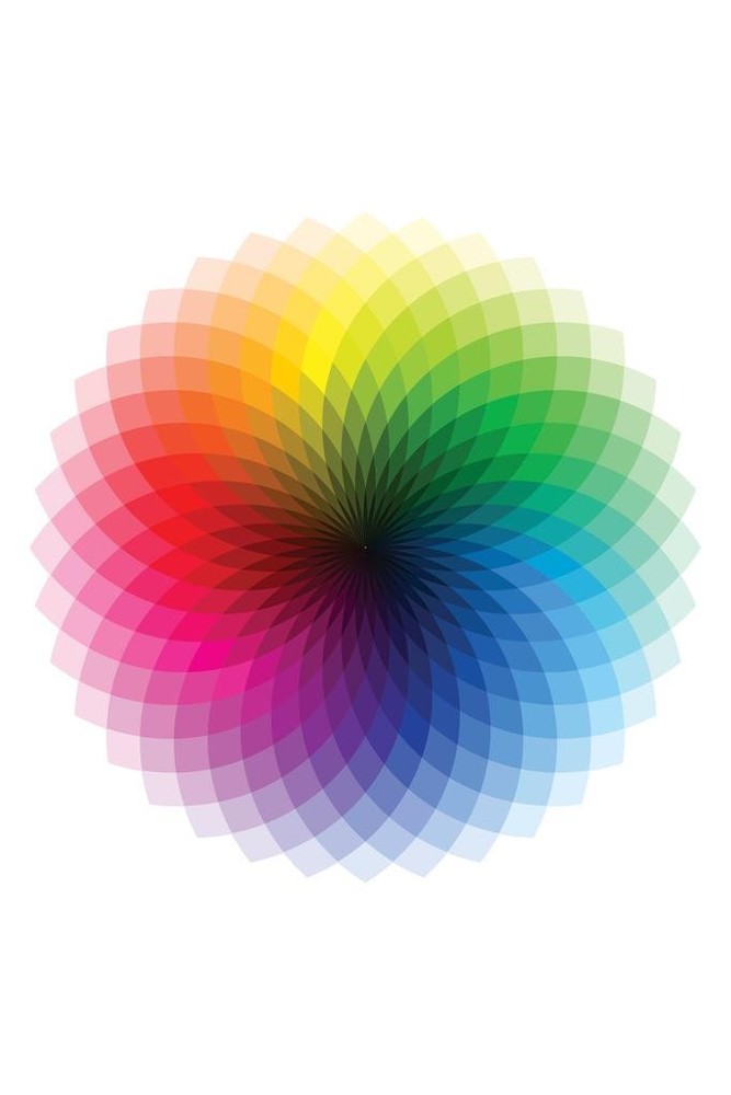 Color Wheel CMYK ROYGBIV Rainbow Spectrum Chart Poster Colorful Reference Black