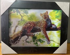 3D Canvas 3in1
