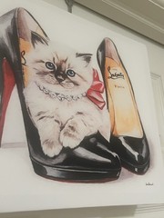 Cat in High Heels Fashion Canvas Print, Multicolor Horizontal Ready to Hang