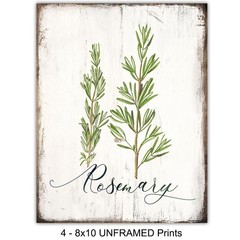 Botanical Herbs and Spices Kitchen Decor – 4 – 8×10 inch prints, Multicolor
